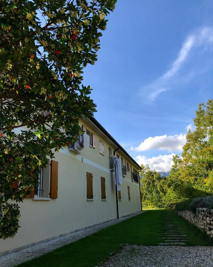 Beehouse - La Casa Delle Api Agriturismo Borso del Grappa Exterior foto